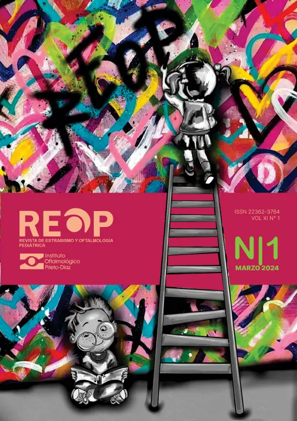 REOP VOL N 1-2024